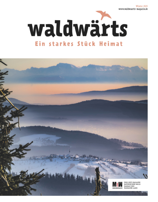 Waldwärts 2547
